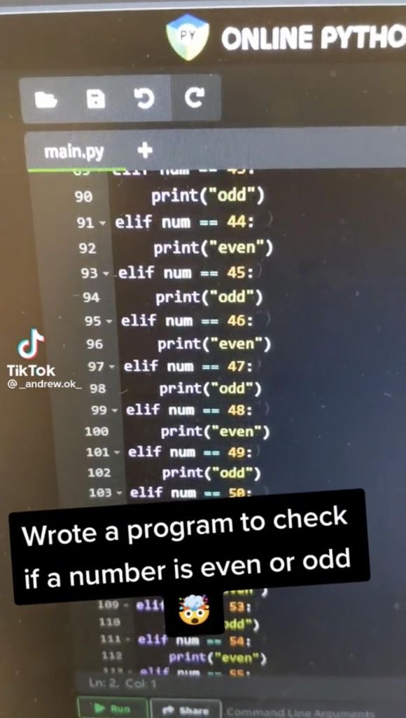 TikTok screenshot